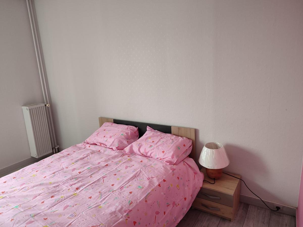 Appartement Grand Et Superbe Proche Paris